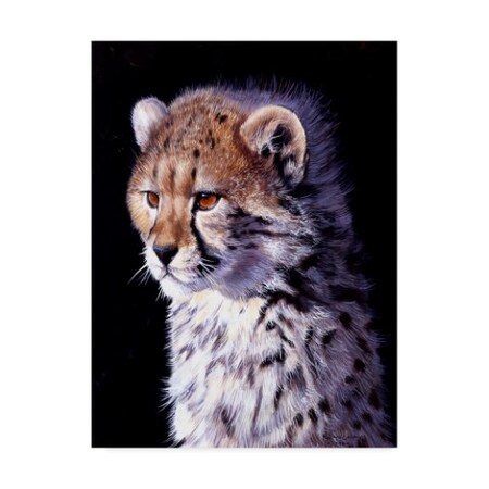 Trademark Fine Art